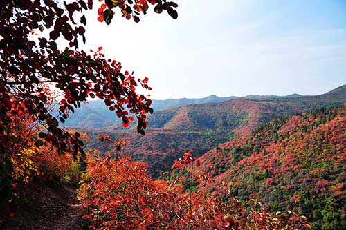 北京香山红色教育基地