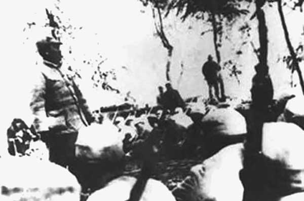 1775628259323584.jpg 640.jpg